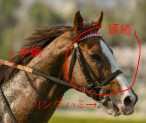 馬の尾を安全にきれいに整える方法