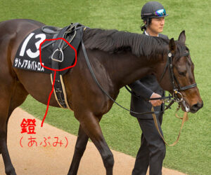 馬の尾を安全にきれいに整える方法