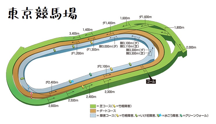 コース特徴】東京競馬場は日本の主流コース！【解説】 - としけば！